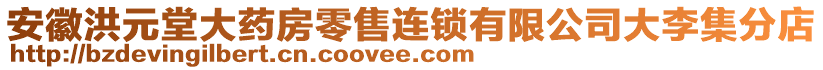 安徽洪元堂大藥房零售連鎖有限公司大李集分店