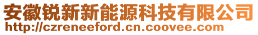 安徽銳新新能源科技有限公司