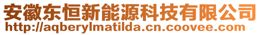 安徽東恒新能源科技有限公司