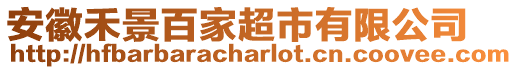 安徽禾景百家超市有限公司