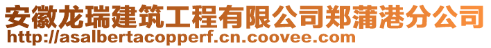 安徽龍瑞建筑工程有限公司鄭蒲港分公司