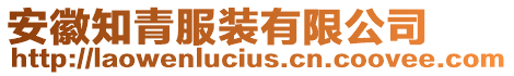 安徽知青服裝有限公司