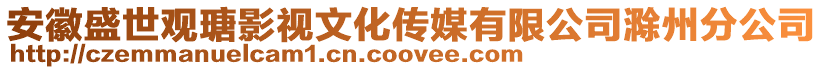 安徽盛世觀瑭影視文化傳媒有限公司滁州分公司