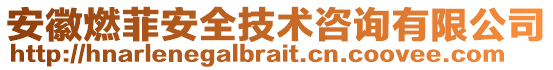 安徽燃菲安全技術(shù)咨詢有限公司