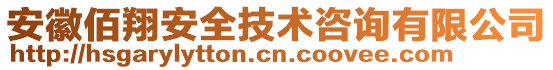 安徽佰翔安全技術(shù)咨詢(xún)有限公司