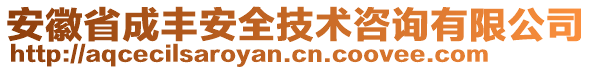 安徽省成豐安全技術咨詢有限公司