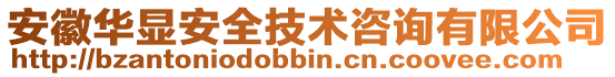 安徽華顯安全技術(shù)咨詢有限公司