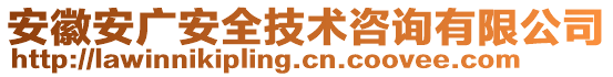 安徽安廣安全技術(shù)咨詢有限公司