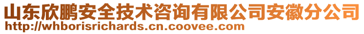 山東欣鵬安全技術(shù)咨詢有限公司安徽分公司