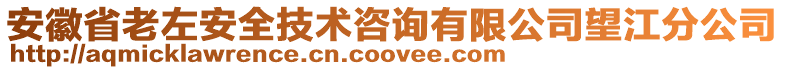 安徽省老左安全技術(shù)咨詢有限公司望江分公司