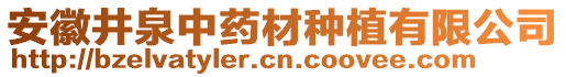 安徽井泉中藥材種植有限公司