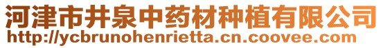 河津市井泉中藥材種植有限公司