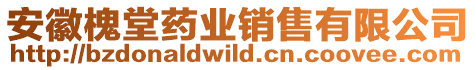 安徽槐堂藥業(yè)銷售有限公司