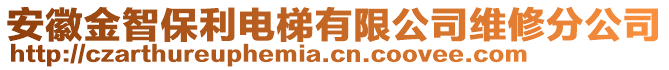 安徽金智保利電梯有限公司維修分公司