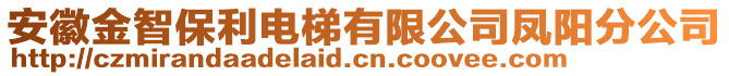 安徽金智保利電梯有限公司鳳陽(yáng)分公司