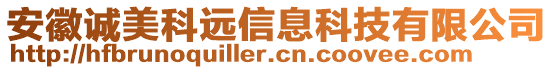 安徽誠(chéng)美科遠(yuǎn)信息科技有限公司