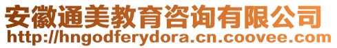 安徽通美教育咨詢有限公司