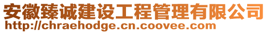 安徽臻誠建設(shè)工程管理有限公司