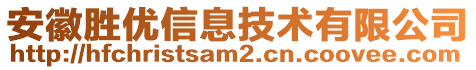 安徽勝優(yōu)信息技術有限公司