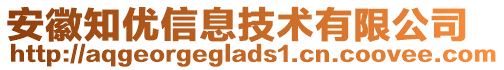 安徽知優(yōu)信息技術有限公司