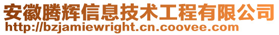 安徽騰輝信息技術(shù)工程有限公司