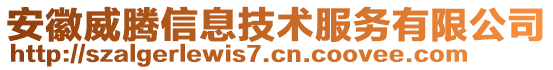 安徽威騰信息技術(shù)服務(wù)有限公司
