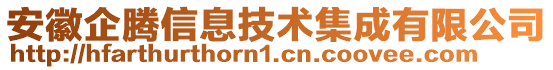 安徽企騰信息技術(shù)集成有限公司