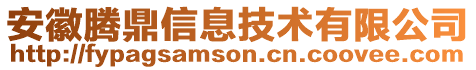 安徽騰鼎信息技術有限公司