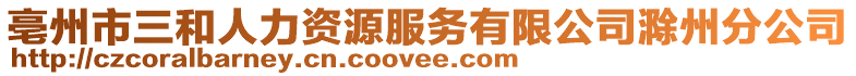 亳州市三和人力資源服務(wù)有限公司滁州分公司