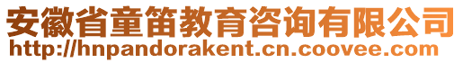 安徽省童笛教育咨詢有限公司