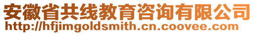 安徽省共線教育咨詢有限公司