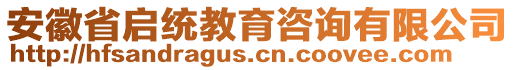 安徽省啟統(tǒng)教育咨詢有限公司