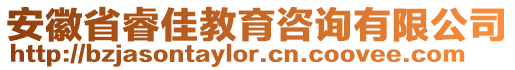 安徽省睿佳教育咨詢有限公司