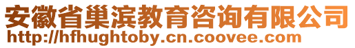 安徽省巢濱教育咨詢有限公司