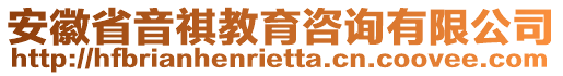 安徽省音祺教育咨詢有限公司