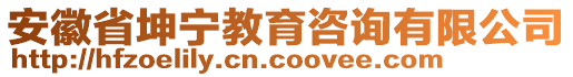 安徽省坤寧教育咨詢有限公司