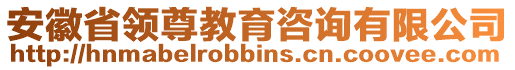 安徽省領尊教育咨詢有限公司