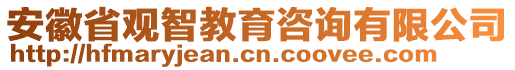 安徽省觀智教育咨詢有限公司