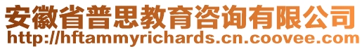 安徽省普思教育咨詢有限公司