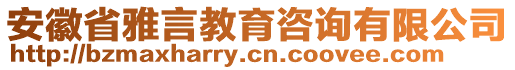 安徽省雅言教育咨詢有限公司