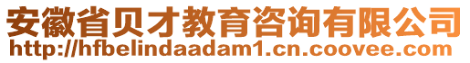 安徽省貝才教育咨詢有限公司