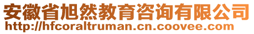 安徽省旭然教育咨詢有限公司