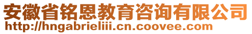 安徽省銘恩教育咨詢有限公司