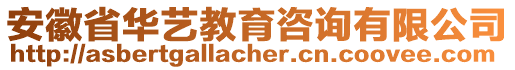 安徽省華藝教育咨詢有限公司