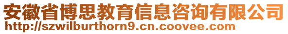 安徽省博思教育信息咨詢有限公司