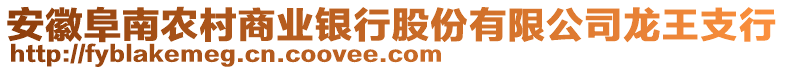 安徽阜南農(nóng)村商業(yè)銀行股份有限公司龍王支行