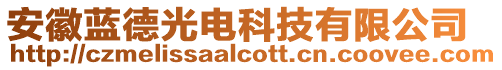 安徽藍(lán)德光電科技有限公司