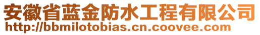 安徽省藍(lán)金防水工程有限公司