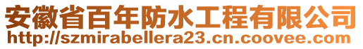 安徽省百年防水工程有限公司