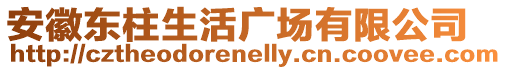 安徽東柱生活廣場有限公司